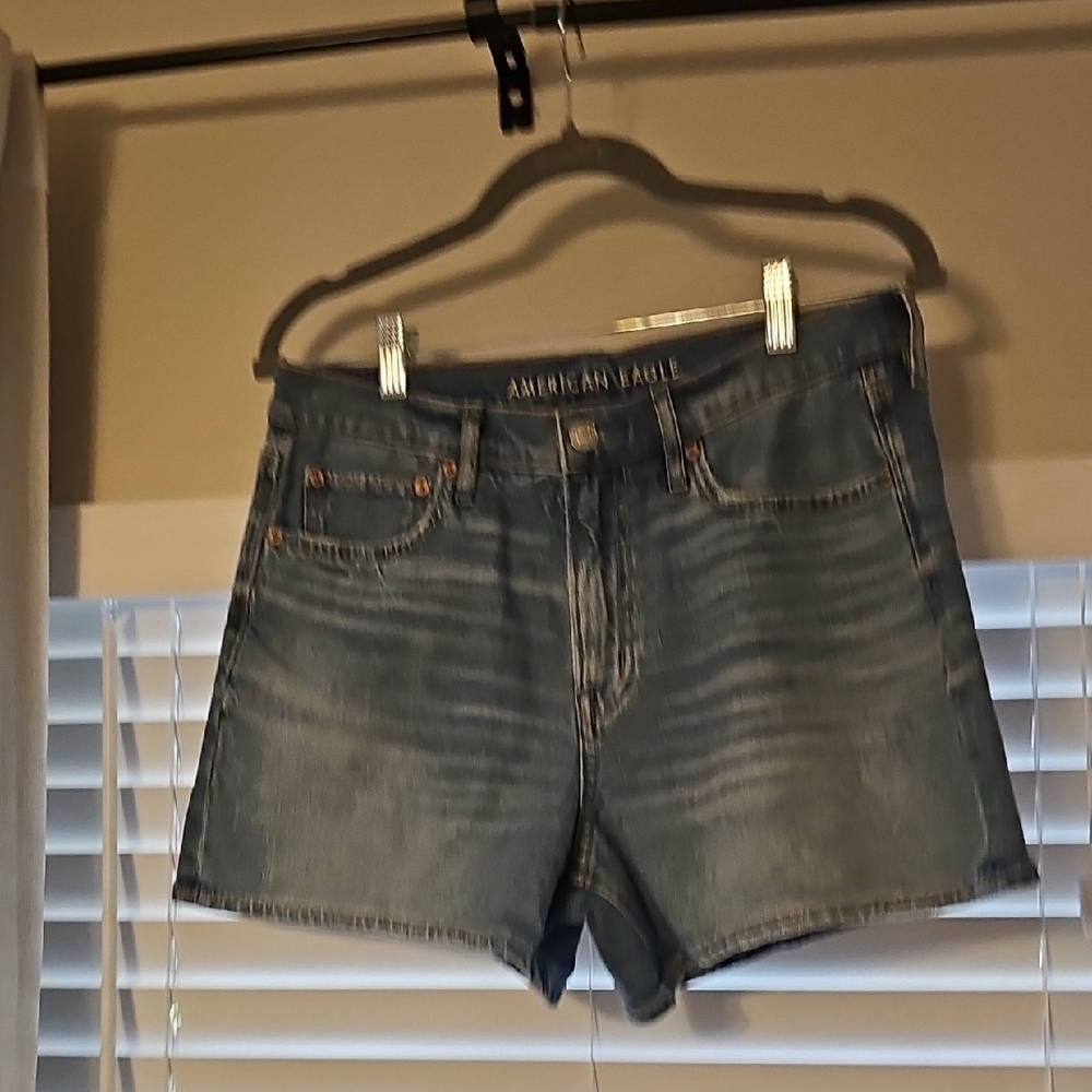 American Eagle Outfitters Blue Jean Shorts Casual Style